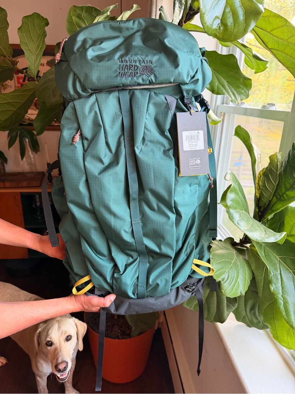 Mountain Hardwear Teal Green Backpack with Yellow Accents